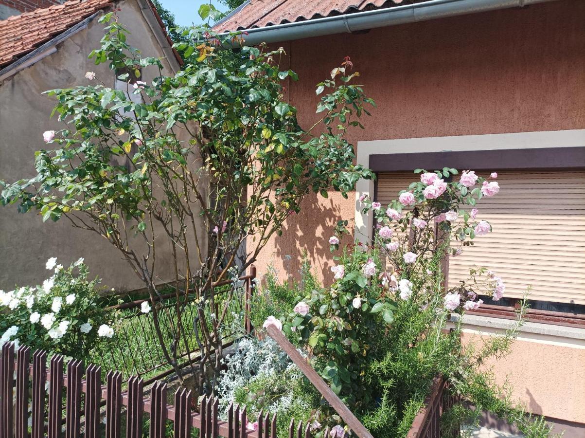 Annabelle Apartamento Zagreb Exterior foto